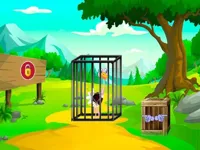 image bg Rescue The Ostrich Chick